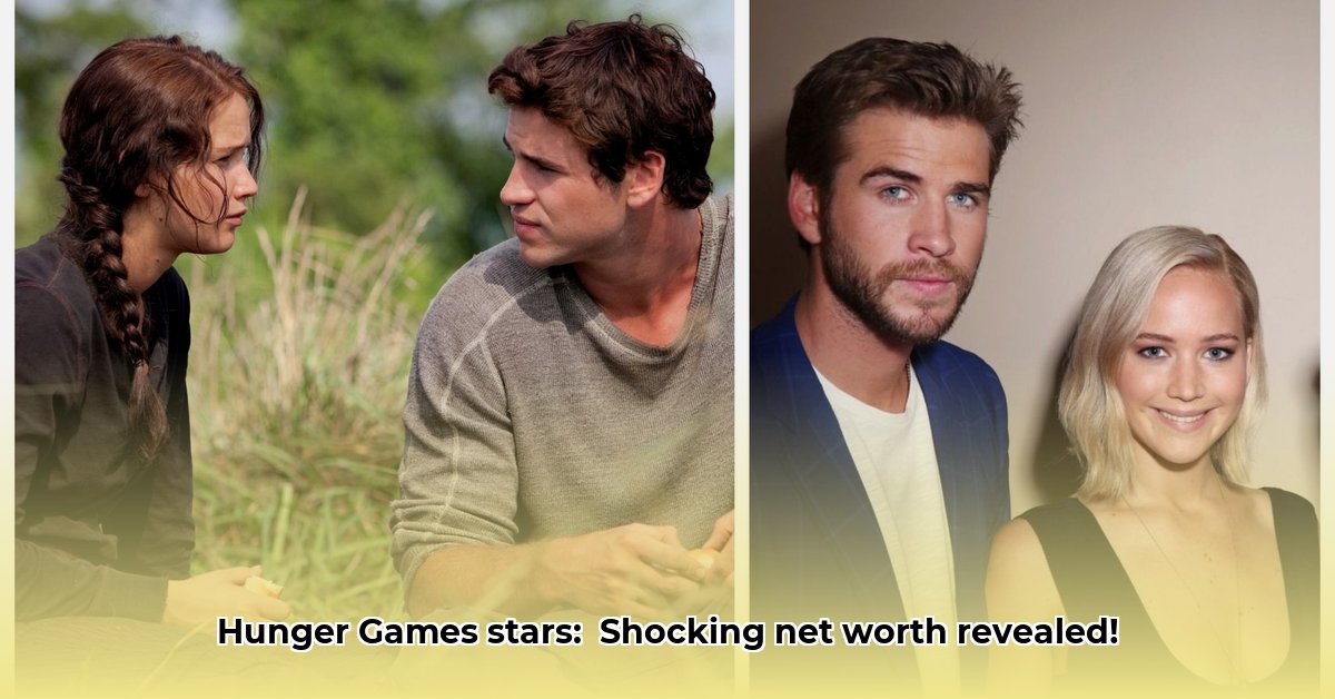 hunger-games-net-worth